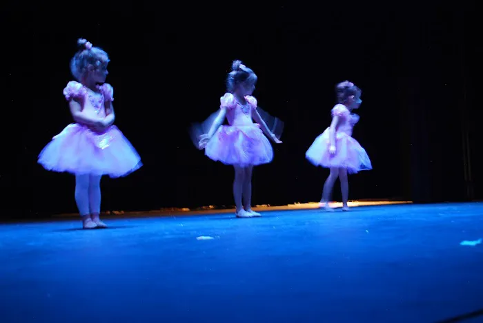 Sandy Springs School of Dance and Performing Arts Picture 4