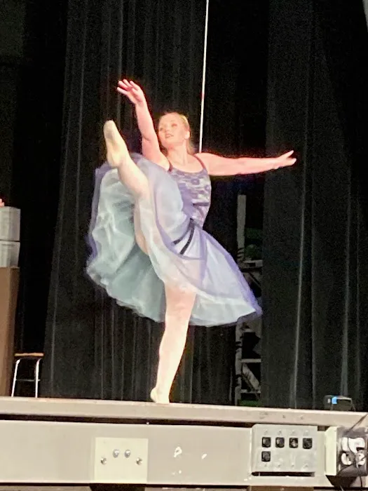 Steppin Out Academy of Dance Picture 1