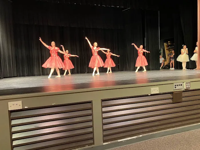 Steppin Out Academy of Dance Picture 3