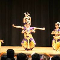 Natya Ninada Performing Arts Foundation ico