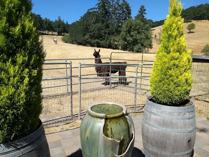 Rain Dance Vineyards Picture 4