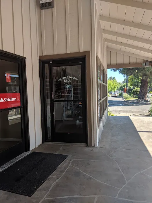 Dance Theatre Shop, LLC Picture 6