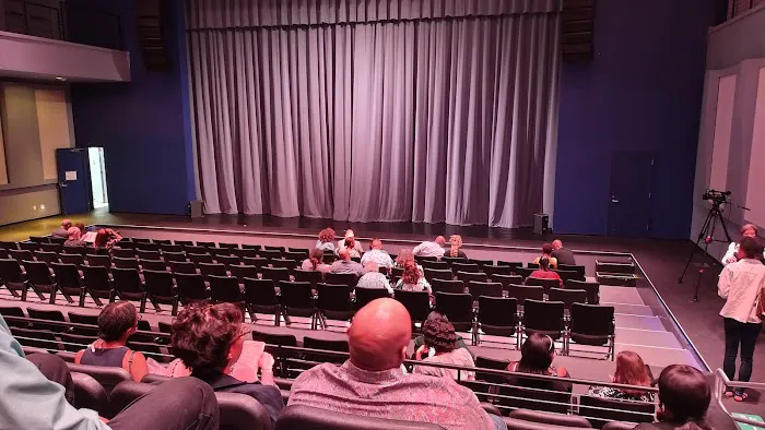 Dallas Black Dance Theatre Picture 4