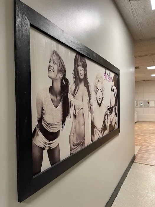 CoSpin Dallas | Pole Dance Studio Rental Picture 4