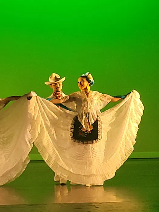 Alegre Ballet Folklórico Picture 8