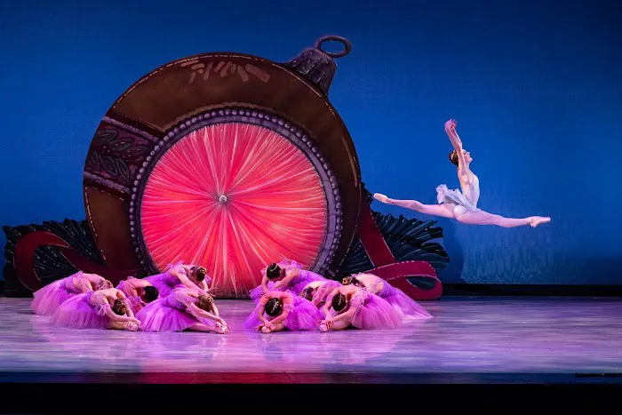 Avant Chamber Ballet Picture 2