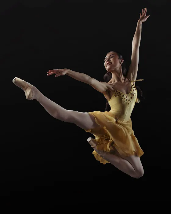 Avant Chamber Ballet Picture 1