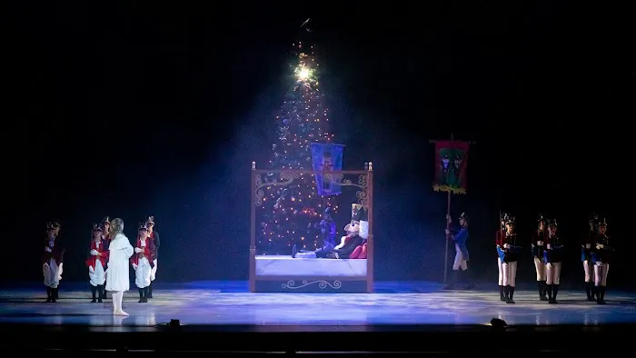Avant Chamber Ballet Picture 4
