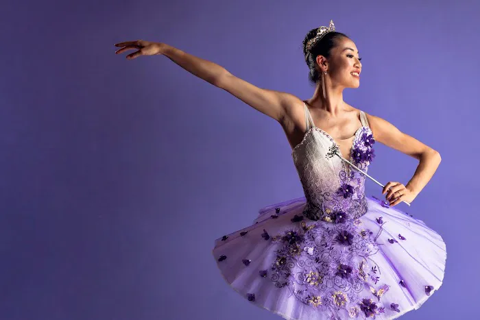 Avant Chamber Ballet Picture 7