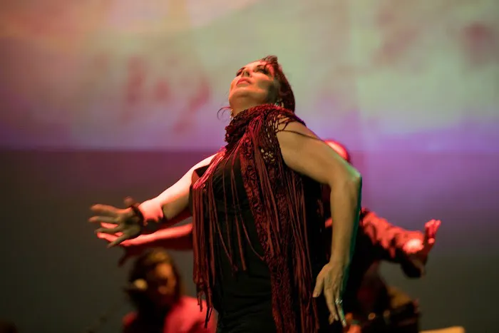 Flamenco Fever Picture 3