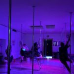 Bee Spins Pole Fitness