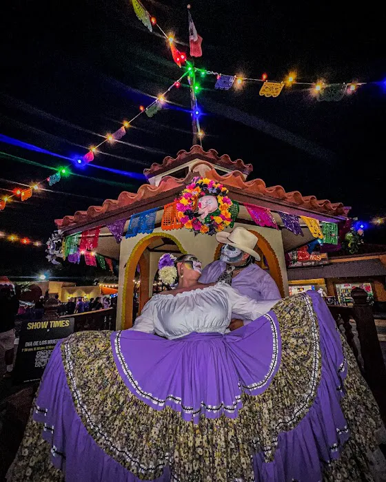 Las Estrellas de Tejas ballet folklorico Picture 7