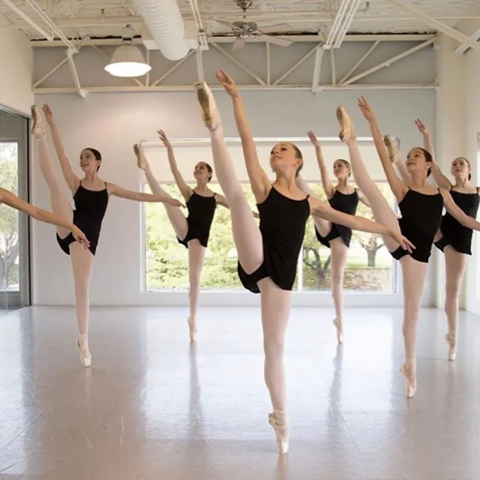 The Dallas Conservatory Picture 4