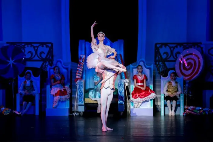 The Dallas Conservatory Picture 5