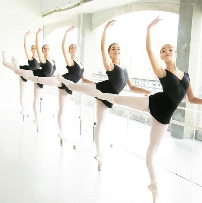 The Dallas Conservatory Picture 7
