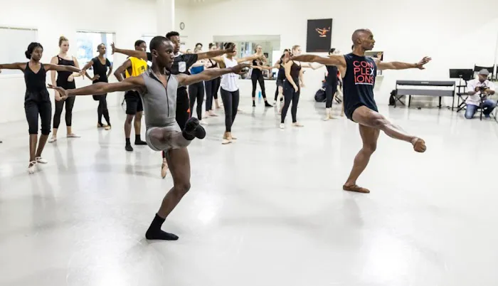 The Dallas Conservatory Picture 10