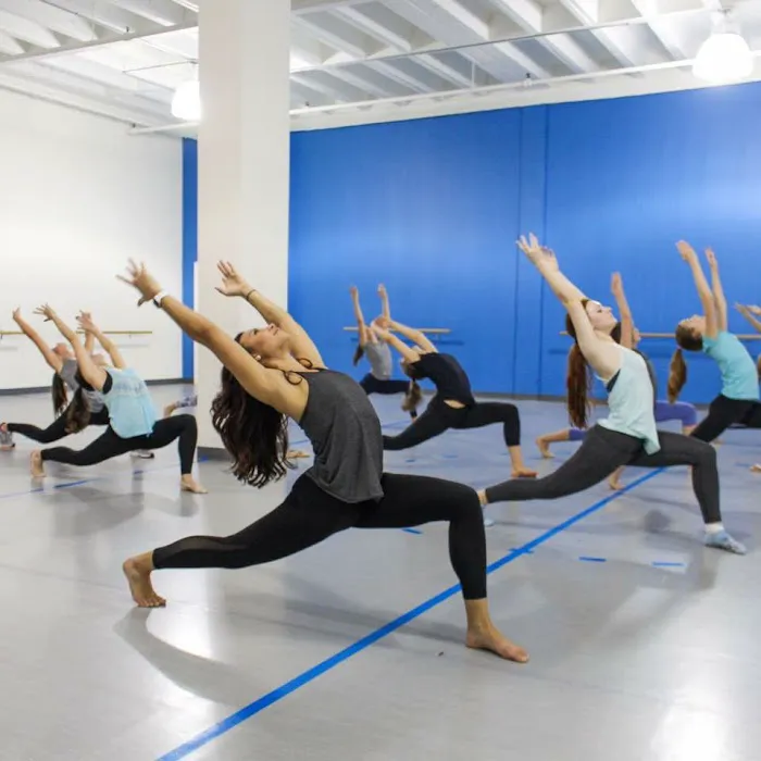 Highland Park Dance Company Picture 8