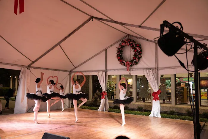 Preston Hollow Dance Picture 2