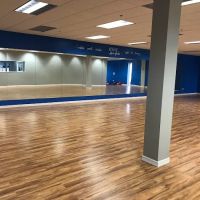 Rogue Dance Studio ico