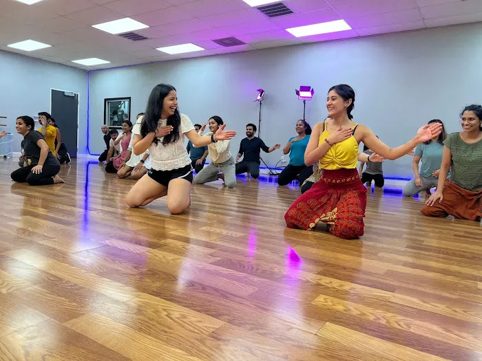 iDANZ Performing Arts Studio Picture 9
