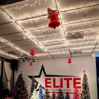 Elite Dance Company of Texas ico