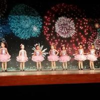 Jane's Academy of Dance Excellence ico