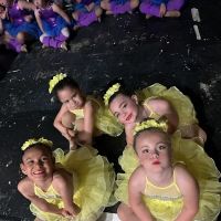 Sunnyvale Dance Academy ico
