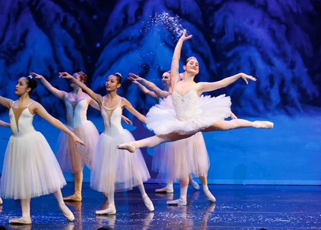 Royale Ballet Dance Academy Picture 2