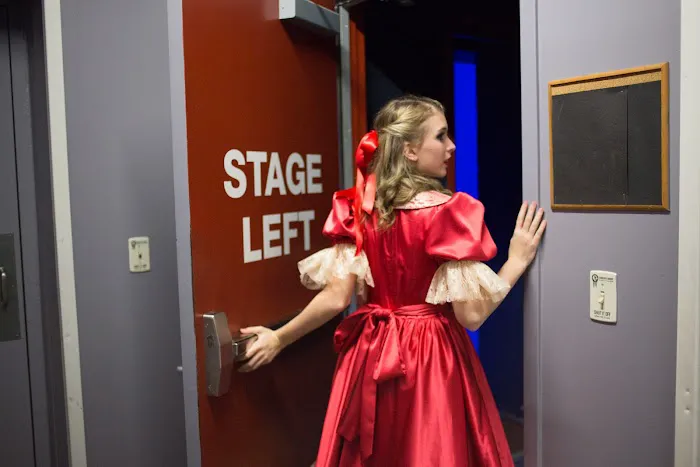 Dance Institute of Dallas Picture 2