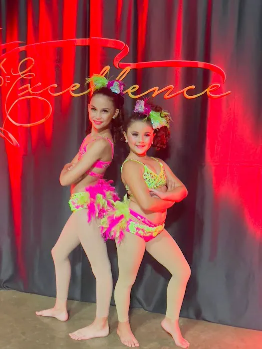 Danzarte Academy Picture 3