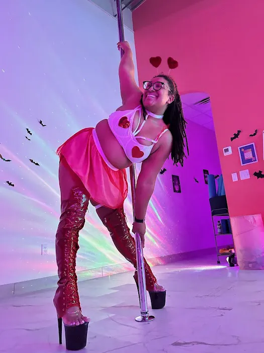 Legs Up Fitness & Aerial Arts Picture 3
