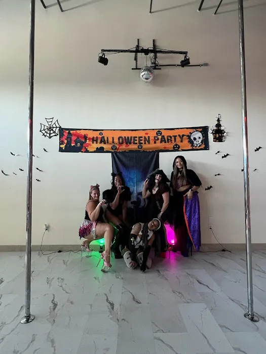 Legs Up Fitness & Aerial Arts Picture 4
