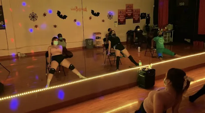 Legs Up Fitness & Aerial Arts Picture 7