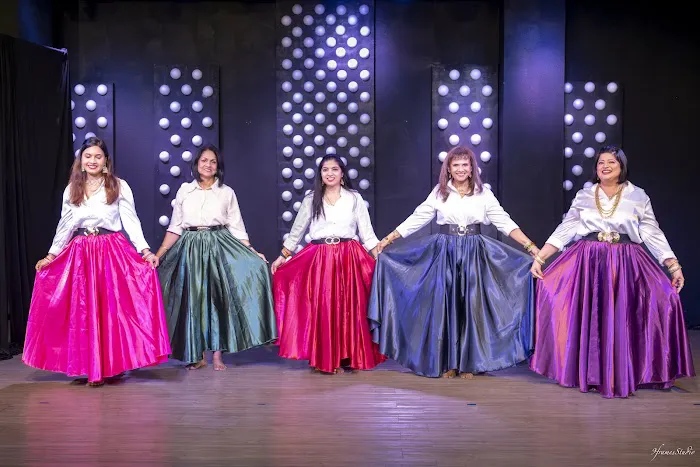 Neha Bollywood Dance/Bollyx Fitness Classes Picture 1