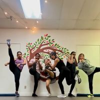 Wanda's Studio ico
