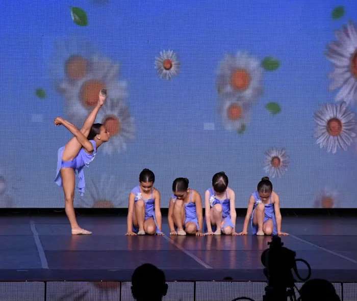 ProviDance Performing Arts Center Picture 5
