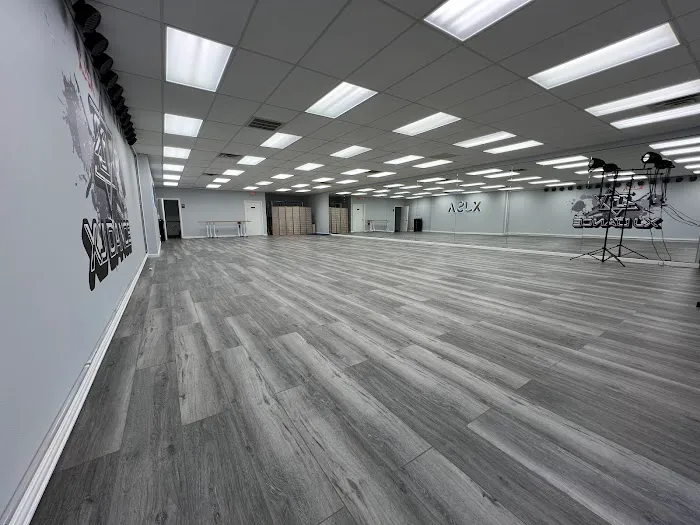 XJ Star Academy Picture 7
