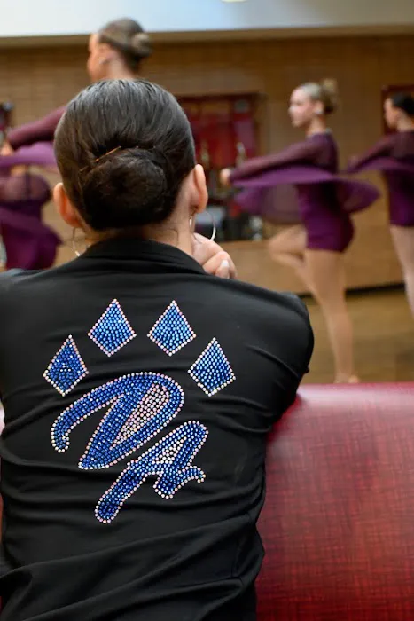 Dance Athletics Plano Picture 5
