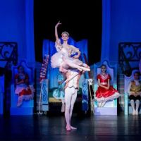 The Dallas Conservatory Castle Hills ico