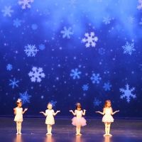 Turning Pointe Dance Studio (Forever Home) ico