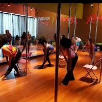 Pole Parties & More with Toy ico
