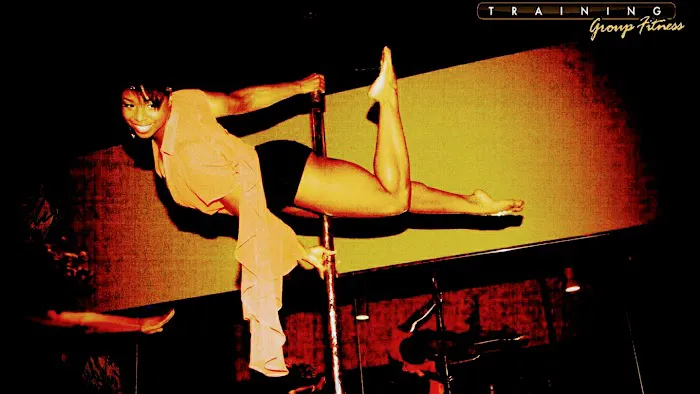 Pole Parties & More with Toy Picture 10