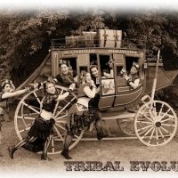 Tribal Evolution Belly Dance ico