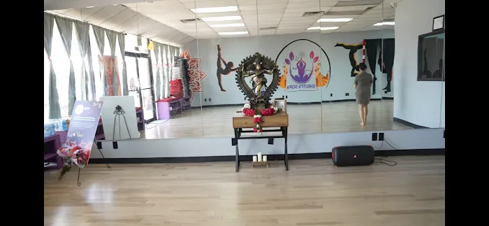Shruti's Dance & Yoga Picture 2