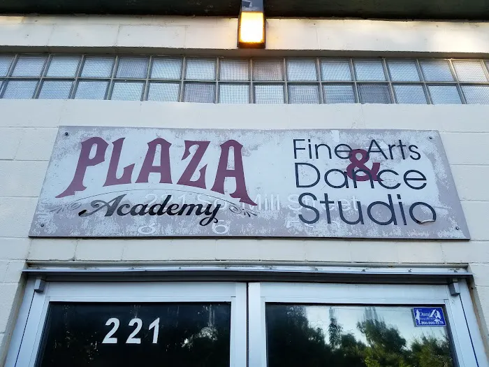 Plaza Academy Fine Arts & Dance Studio Picture 3