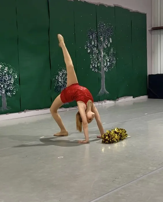 Evolution Academy of Dance Picture 5