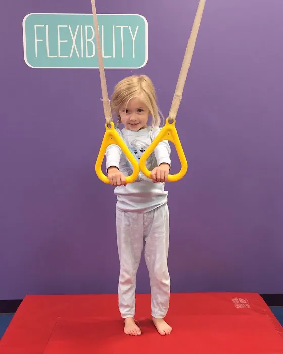 The Little Gym of Rockwall Picture 7