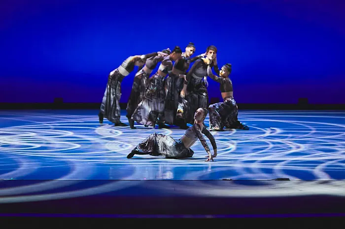 Academy of Dance Arts Picture 8