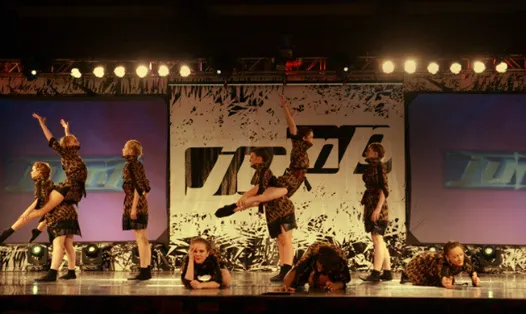 Dance Industry - Performing Arts Center Picture 3