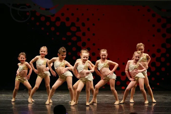 Dance Industry - Performing Arts Center Picture 8